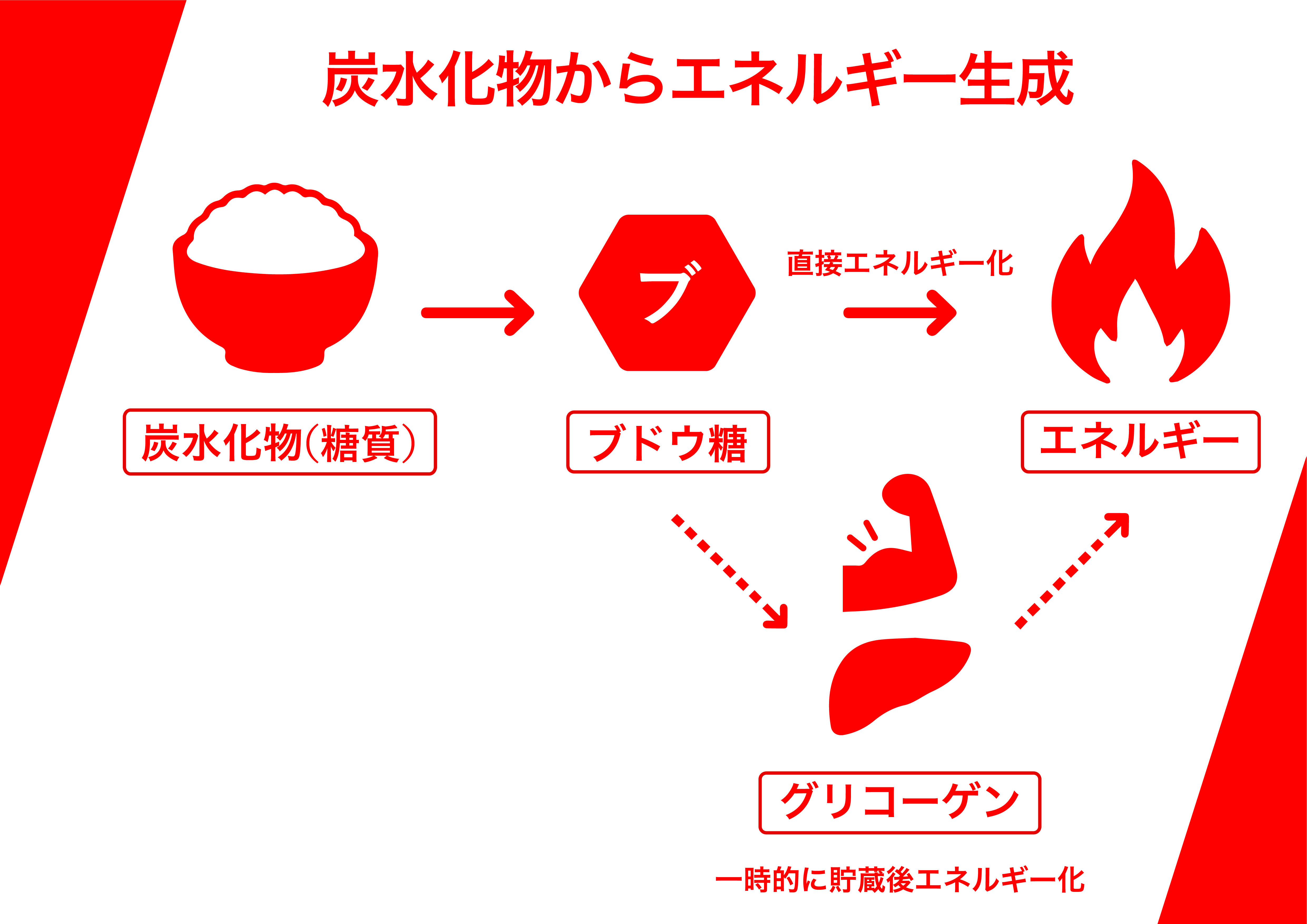 炭水化物の分類に関する図